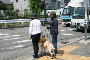 訓練犬との歩行