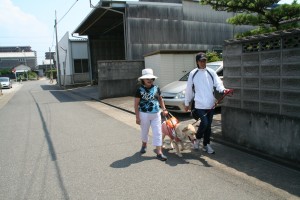 訓練犬との歩行②